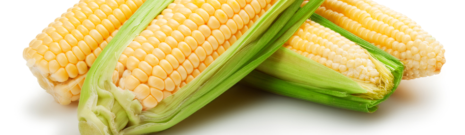 corn glycol feedstock image