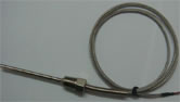 PT100 Platinum titanium pool water temperature sensor, Heraeus (Germany)